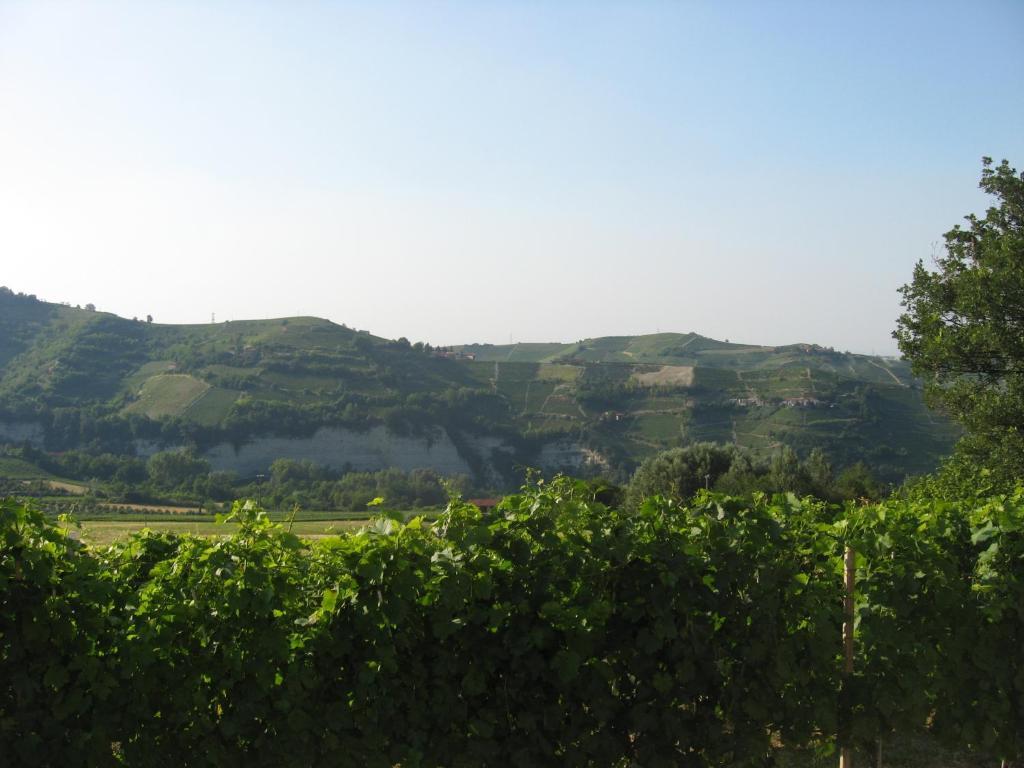 Agriturismo Cascina Serra Bauernhof Cossano Belbo