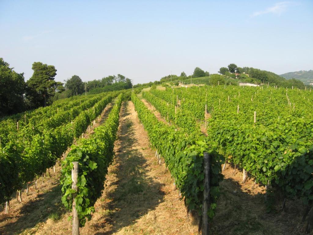 Agriturismo Cascina Serra * Cossano Belbo